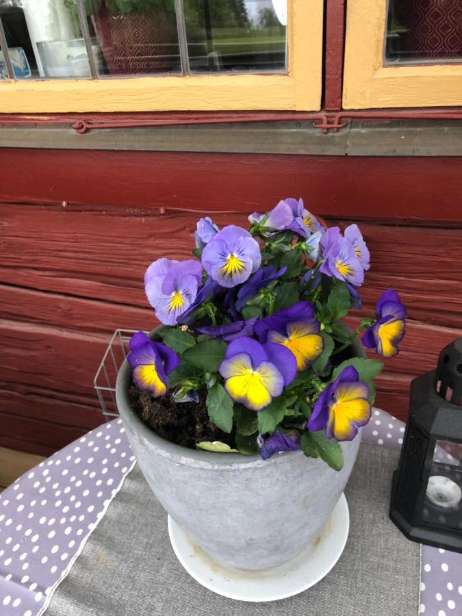 Mysigt Boende I Raettvik Med Utsikt Oever Siljan Exterior foto