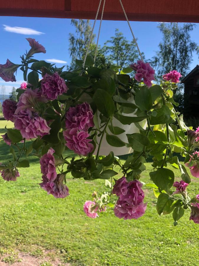 Mysigt Boende I Raettvik Med Utsikt Oever Siljan Exterior foto